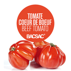 Papier ensemencé, tomates coeur de boeuf