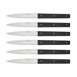 6 couteaux de table 