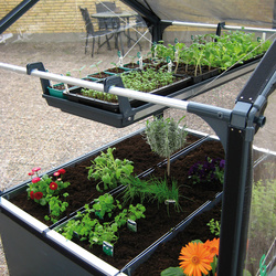 Plateau à semis pour potager de jardin