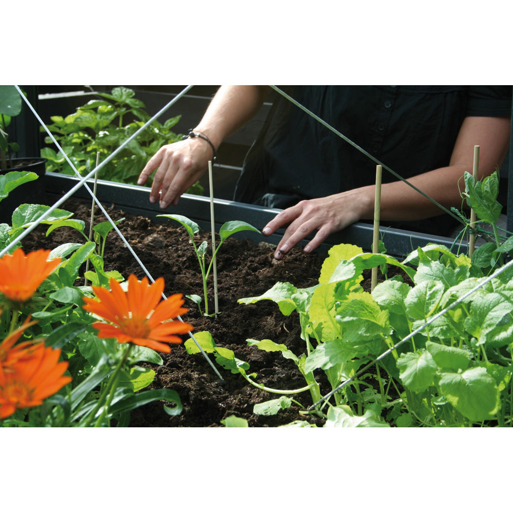 YSUEFIJO Bac a Potager Exterieur Sureleve, Lit de Plantation Surélevé,  Etagère Intégrée, Montage Facile, Potager Surélevé pour Semis et Plantes