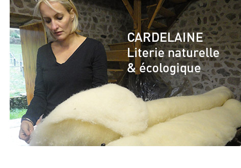 Cardelaine